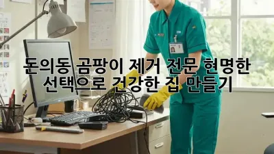 돈의동 곰팡이 제거 전문: 현명한 선택으로 건강한 집 만들기